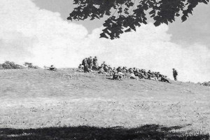 Bilde av Gokstadhaugen - samling med informasjon